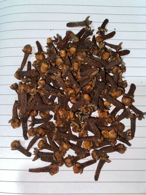 Premium Indonesian Zanzibar Cloves Grade A - Image 1
