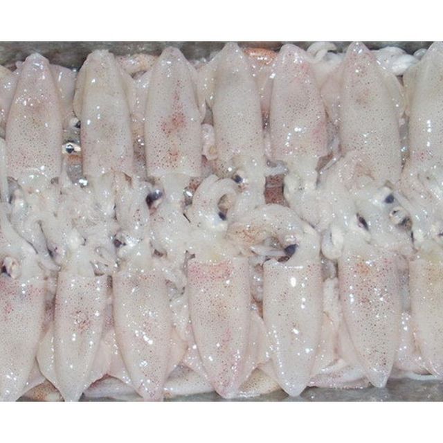 Wild Caught Frozen Squid Processed Seafood Frozen Squid For International Food Distribution And Bulk Seafood Supply - Image 3