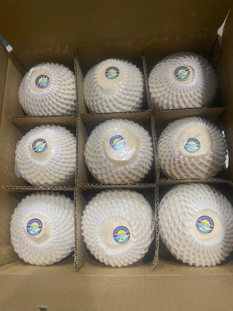 Fresh Young Coconut from Vietnam | Ben Tre Coconut Supplier | OEM Private Label | MEGAPLUS AGRI VIETNAM – product photo 3, product detail gallery