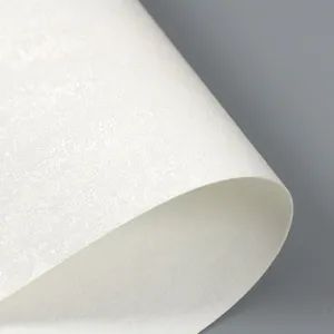 Eco Solvent Printable Embossed Vinyl Wallpaper - Image 6