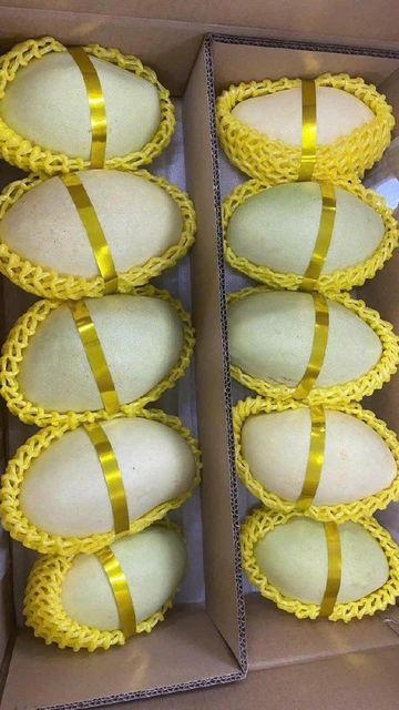 Fresh Mango Sorting Clean Texture Crunchy Grading Uniform Color Fresh Green Flavor Mild Sweetness Packing 5kg Net Carton - Image 4
