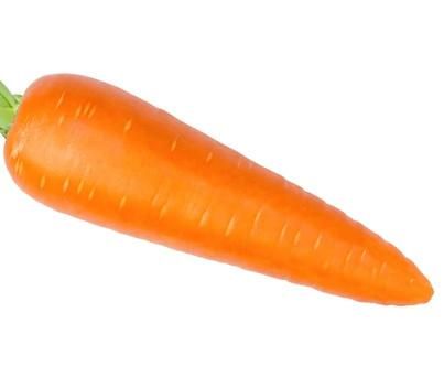 Vietnam fresh carrots high quality - Image 6