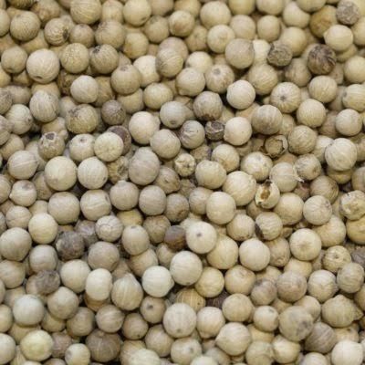 Premium Bangka Muntok White Pepper from Indonesia – Shell Sorted | Bulk Export Supply - Image 3
