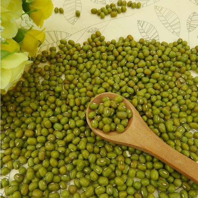 New Crop Mung Bean Seed Nice Price Green Mung Bean Vigna Beans - Image 3