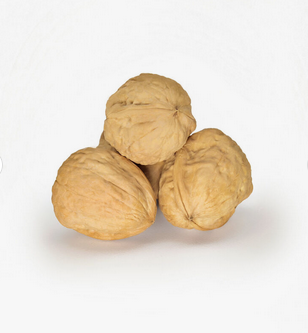 Walnut Kernel / Walnuts Wholesale In Bulk at Cheap Prices.Wholesale lower price walnut kernel ceviz kernel from thin-skin walnut - Image 3