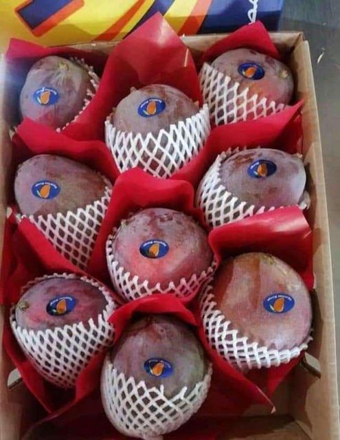 Fresh Mango - Image 5