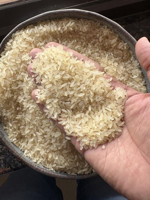 Parboiled rice – product photo 1, product detail gallery