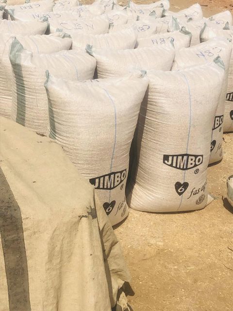 Premium White Maize Corn Wholesale Bulk Supply Export Quality White Corn Worldwide - Image 5