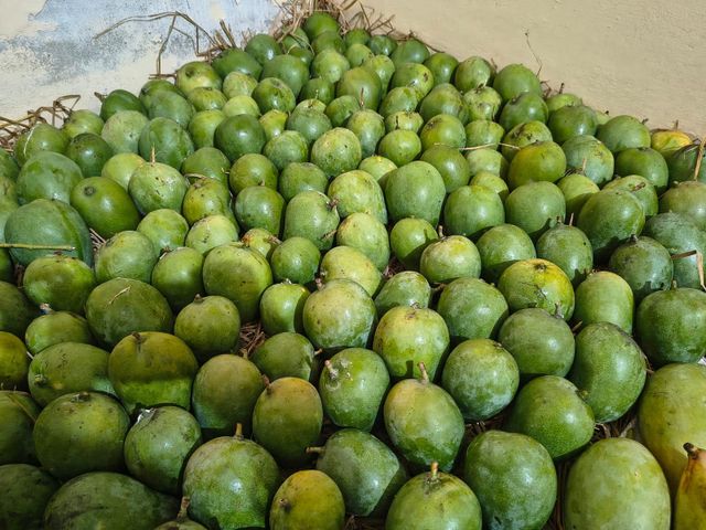Coconut, copra, Coconut shell, Organic coconut, red Banana, Mango, Guava - Image 1