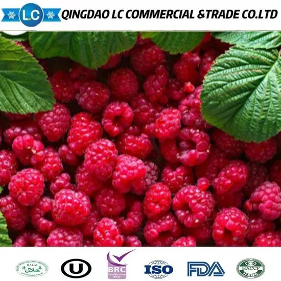 Frozen Raspberries Raspberry Frozen Wholesale China Delicious Frozen Fruit Prices Raspberries - Image 4