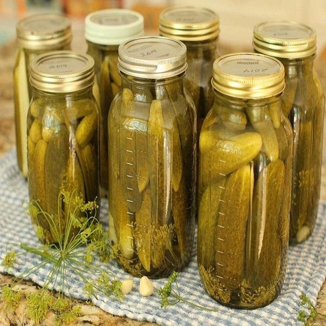 Pickled Gherkin Cucumber in Vinegar Brine Sour Flavor Canned Vegetables Vietnam Supplier Global Export - Image 5