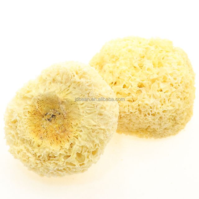 High Quality Chinese Edible jelly Tremella Price Fuciformis Dried Snow Fungus - Image 2