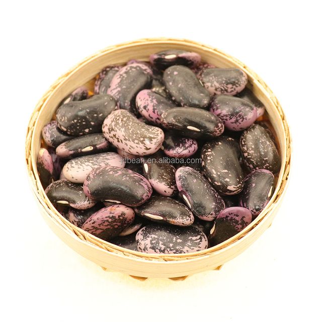 Black And Pinto Beans Yunnan Dried Large Black Speckled Kidney Bean - Image 1