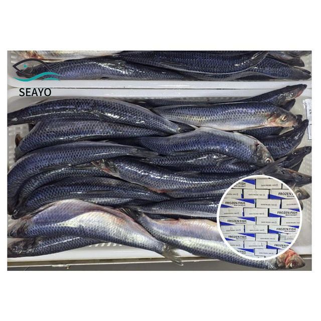 Frozen Herring Fish 100% Natural Seafood Product With Controlled Freezing Process For Reliable Buyer Confidence - Image 2