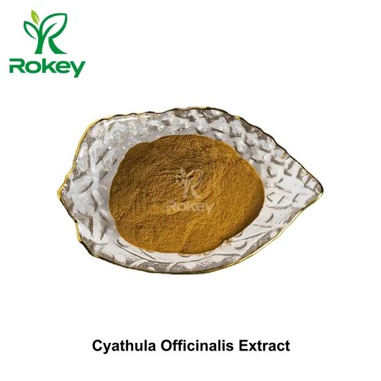 Premium Herbal Extract for Wellness & Vitality Cyathula Officinalis Extract Powder - Image 1