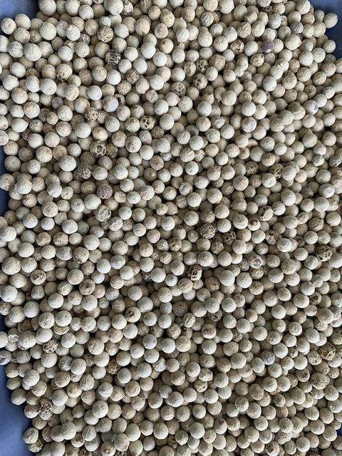 Spices black pepper Dried Bulk Black Pepper Premium Quality Made in Viet Nam Factory Price - Image 4