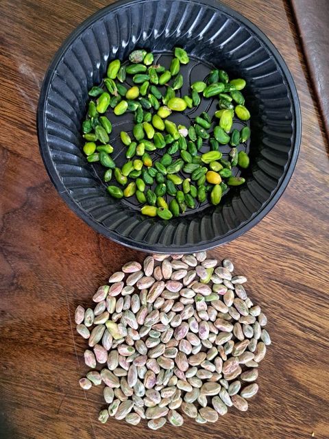 Raw Iranian Pistachio - Image 1