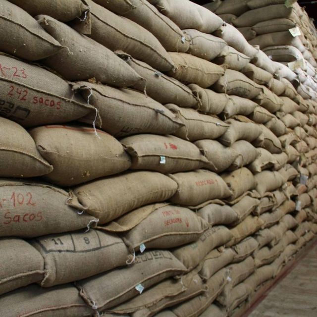 ARABICA COFFEE BEANS - Image 5