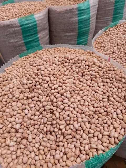 Peanuts & Cassava Chips Sand Stones Nil Weight (kg) 50kg Crude Fiber Max 5% Oil Content Min 45% Mold Infestation Nil Mold Live Insects Nil - Image 3