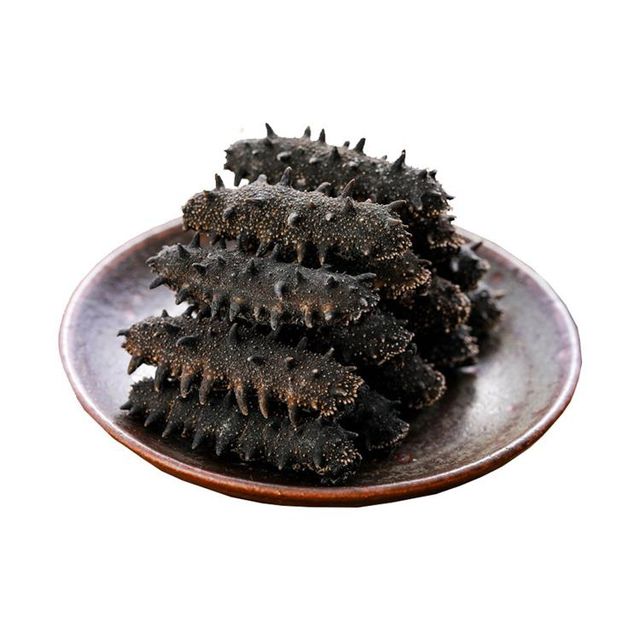 Dried Sea Cucumber - Image 4