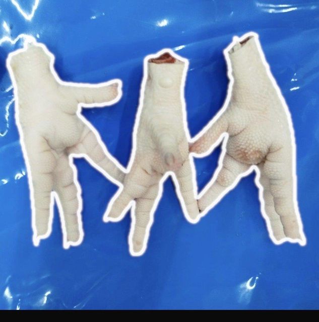 Frozen Chicken Paws - Image 1