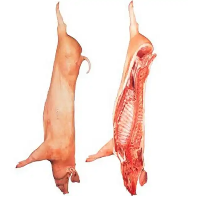 Frozen Clean Beef Carcasses For sale - Image 5
