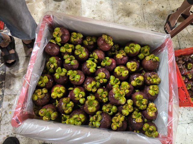 Fresh Mangosteen Size <40 mm Grade Cherry Packaging 2,5 kg Pesticide Residue Below Eu Mrl Standards Defect Rate Maximum 5% Minor Defects Allowed - Image 3