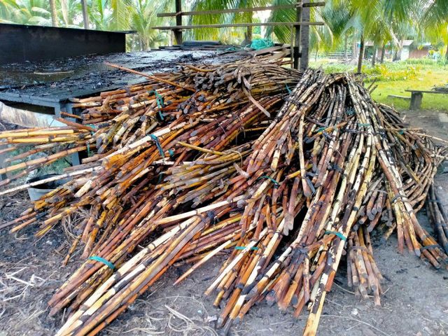 Rattan Bahama Set - Image 2