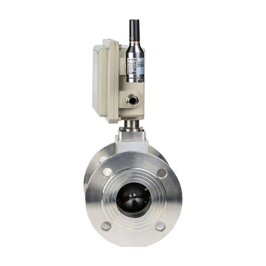 Advanced Digital LPG and Natural Gas Flow Meter - Image 5