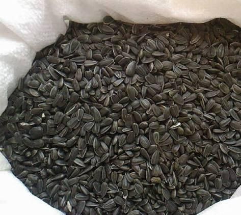 Yellow Peas ,Sunflower Seeds, Soybeans, Chickpeas - Image 3
