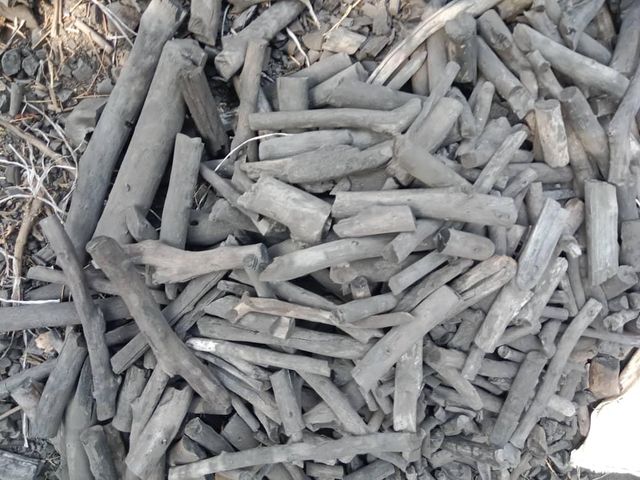 Charcoal, coconut shell, Coco ,avocado, cassava, cashew, palm cannel, palm cannel charcoal, sawdust - Image 1