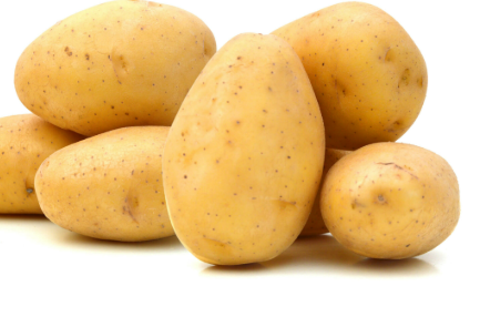 Fresh Potato – Export Quality / Wholesale Supply - Image 1