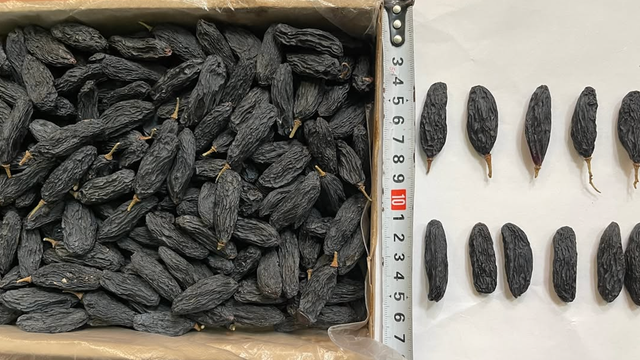 Sweet Flavor Dried Grapes Premium Quality Raisins Carefully Selected Packed in 10kg Cartons On Sale - Image 4