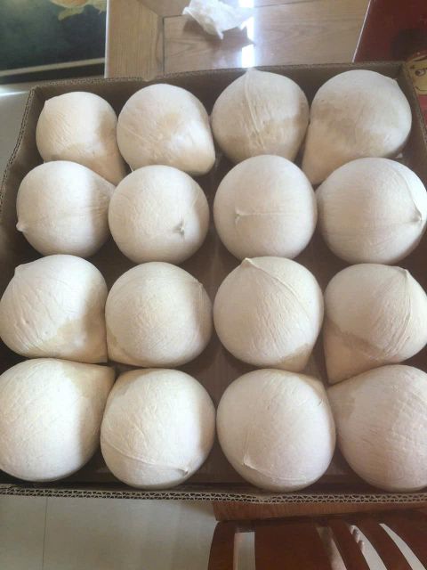 Vietnam Diamond Coconut – product photo 3, product detail gallery