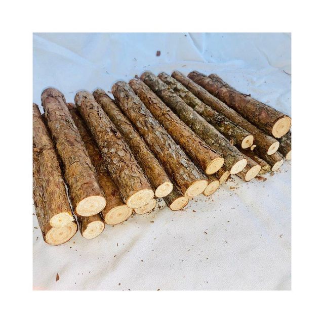 Wholesale supplier of premium Pine Logs with fast delivery - Image 4