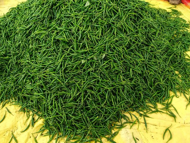 G4 Green Chilli – product photo 4, product detail gallery