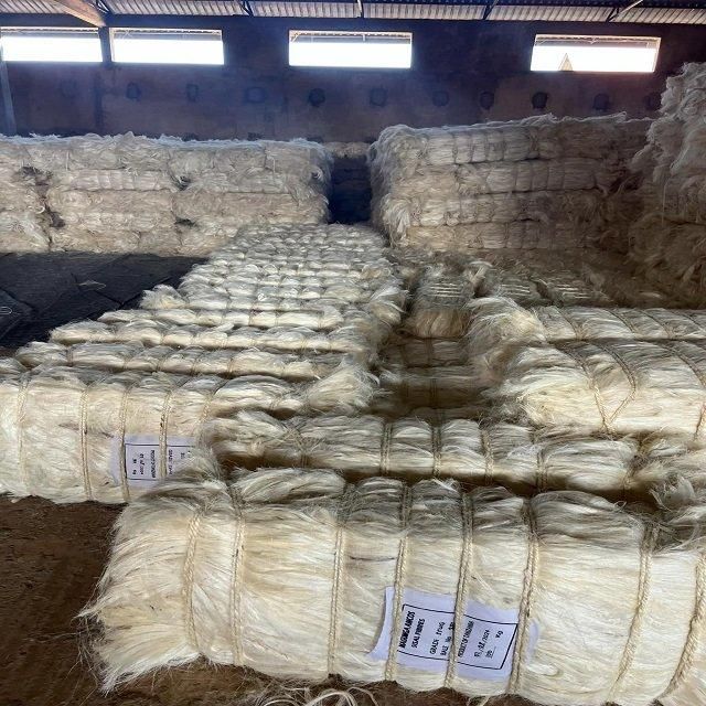 Wholesale UG Grade  Sisal Fiber 64mm Length Natural White Eco-Friendly for Gypsum Concrete Spinning Factory Supply Fiber Sisal Fiber 1 Ply 2 Ply 3 Ply Twisted Twine Strings for Spinning Use - Image 4