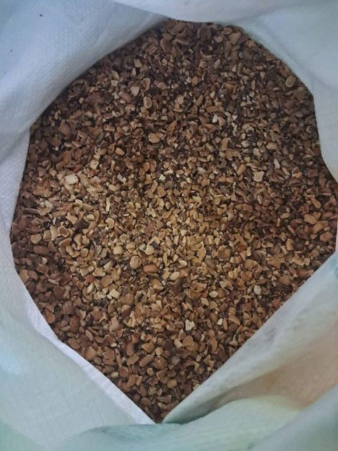 Broken Tamarind Seed - Image 4