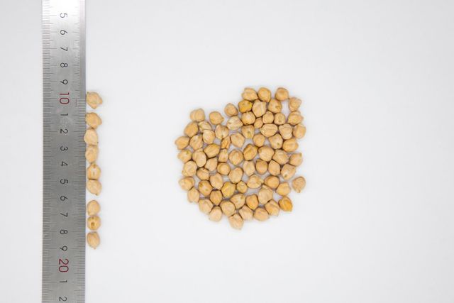 Organic chickpeas 100% natural high grade 6+ 7+ 8+ 9+ caliber chickpea in bulk from Uzbekistan manufacturer - Image 5
