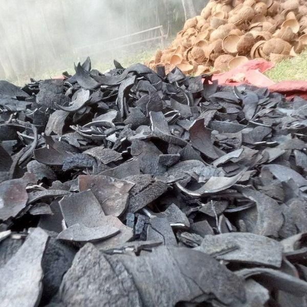 Wholesale Coconut Shell Charcoal Briquettes Machine-Made High Quality Restaurant Industrial Use 5-6 Hours Burning - Image 4