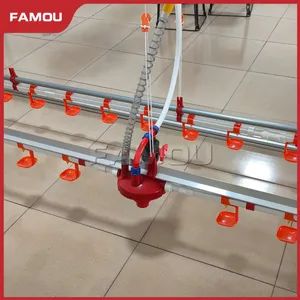 Poultry Equipment Meat Chicken Broiler Floor Rearing System with Feeder Pan - Image 2