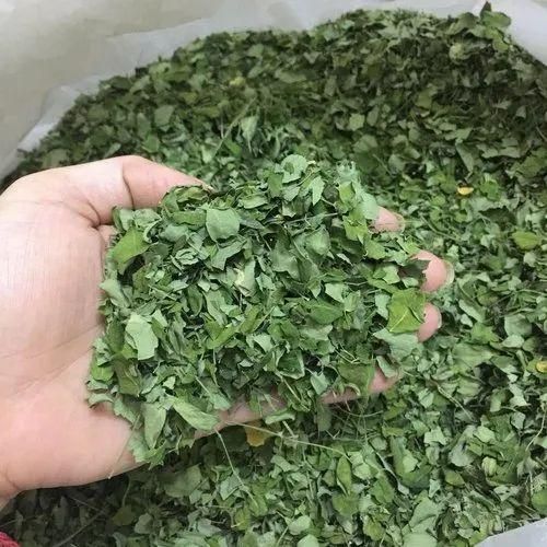 Moringa leaves - Image 1