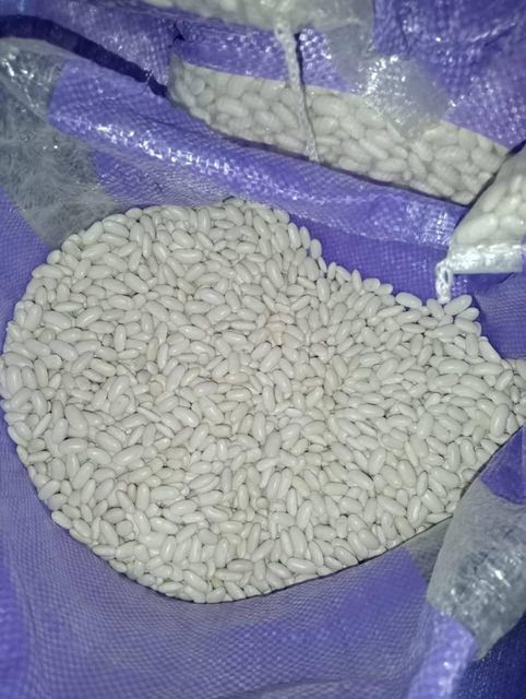 white bean - Image 4