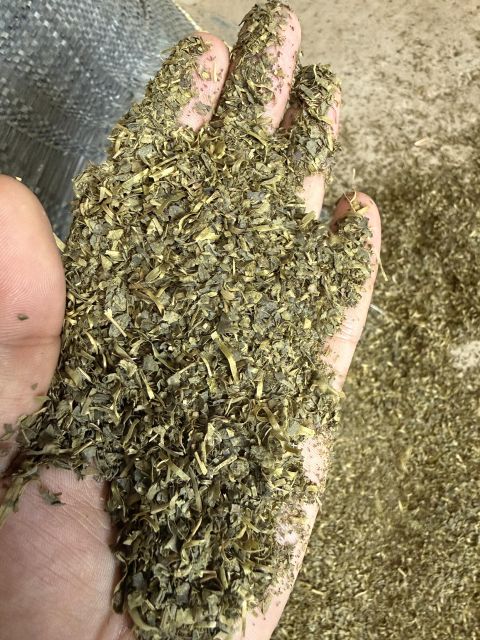 Vietnamese Green Tea - Image 3