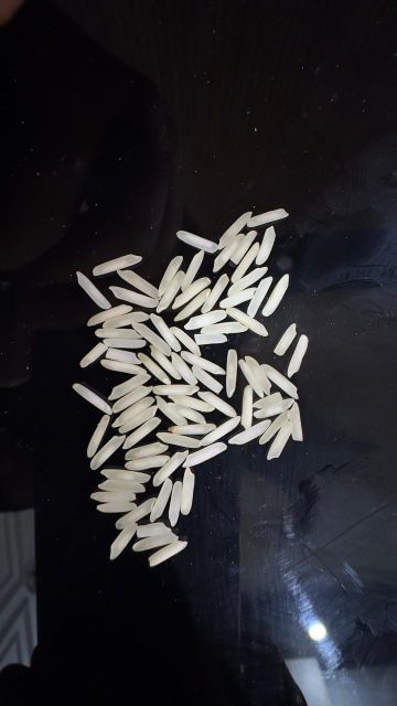 Long grain basmati rice 1121, Sella Rice, Origin Asia Product Type Cereal, Cereals & Cereal Products, Vegetarian & Vegan Products - Image 3
