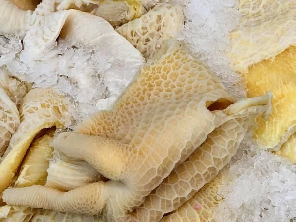 Premium Frozen Beef Tripe — Halal Certified, Export Grade, Cleaned & Frozen at -18°C - Image 1