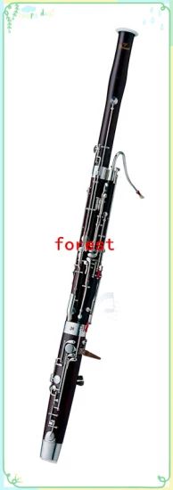 Bassoon / Wind Instruments / Musical Instruments - Image 1