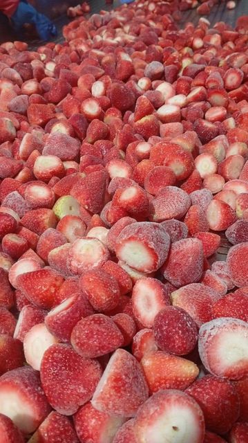 IQF Strawberries - Image 2
