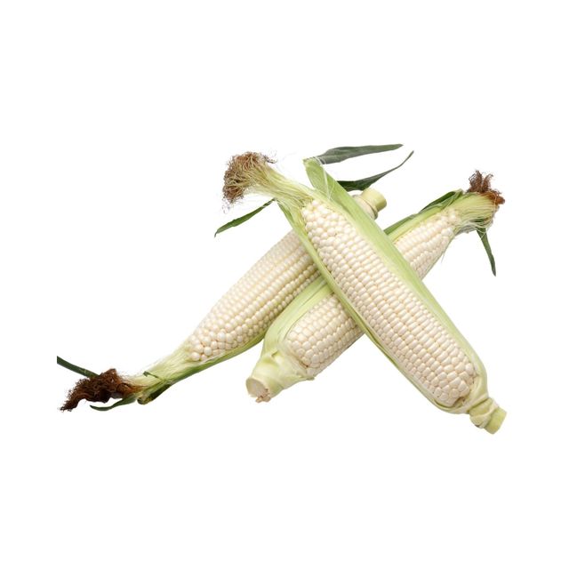 Export quality White Corn offered in bulk quantities for food processors where White Corn supports stable sourcing - Image 1