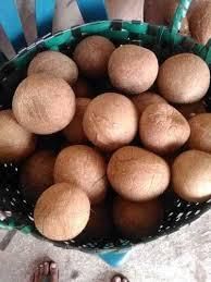 Edible Copra Impurities Max. 1% Oil Content Min. 62–65% Color White To Light Brown Moisture Content Max. 6–7% Free Fatty - Image 2